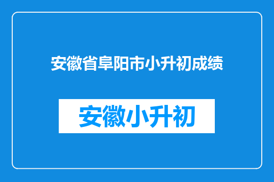 安徽省阜阳市小升初成绩