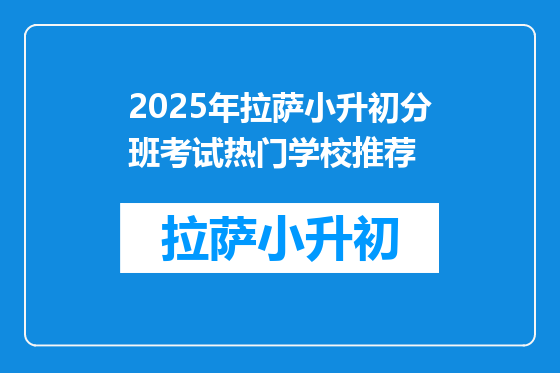 2025年拉萨小升初分班考试热门学校推荐