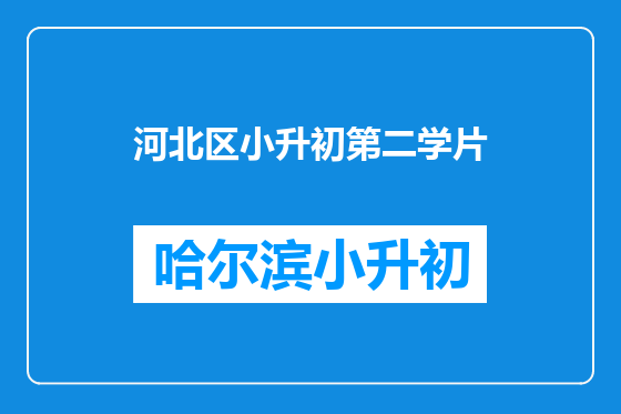 河北区小升初第二学片