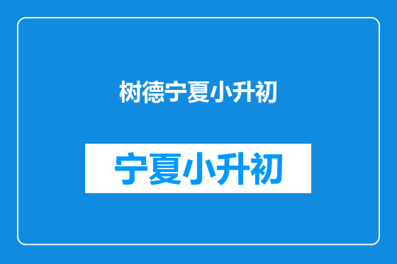 树德宁夏小升初