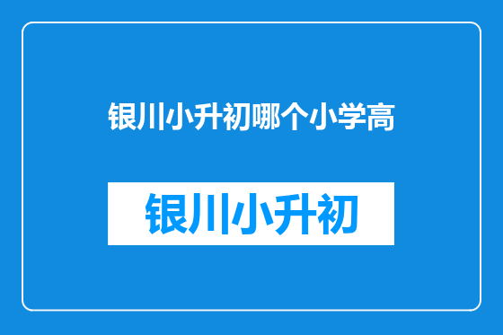 银川小升初哪个小学高