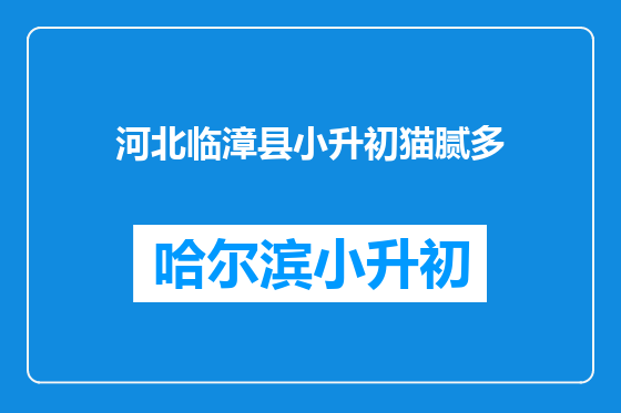 河北临漳县小升初猫腻多