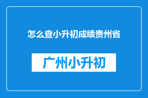 怎么查小升初成绩贵州省