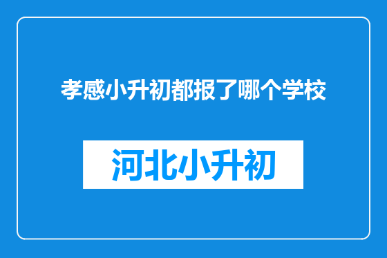 孝感小升初都报了哪个学校