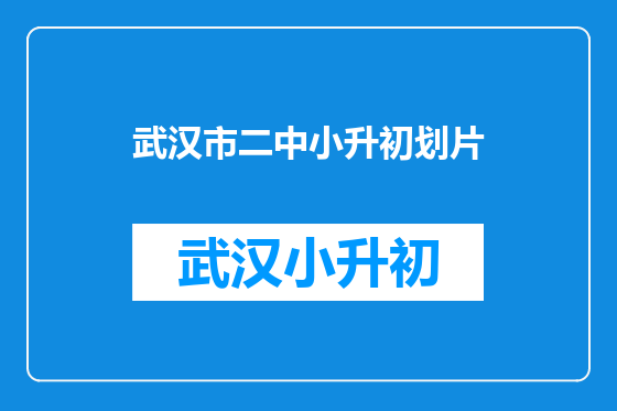 武汉市二中小升初划片