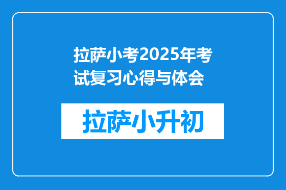 拉萨小考2025年考试复习心得与体会