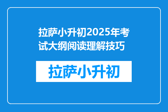 拉萨小升初2025年考试大纲阅读理解技巧