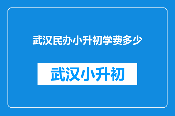 武汉民办小升初学费多少