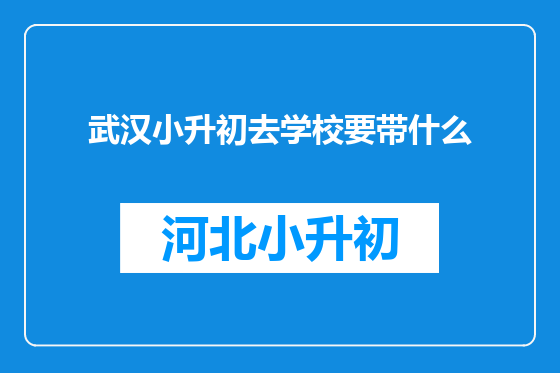 武汉小升初去学校要带什么