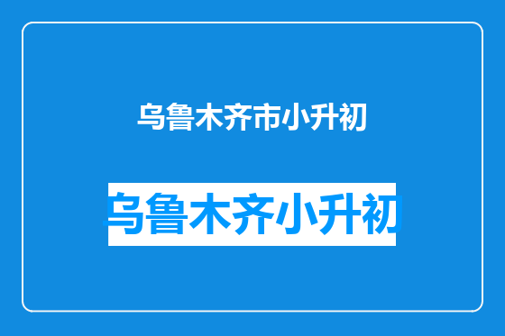乌鲁木齐市小升初