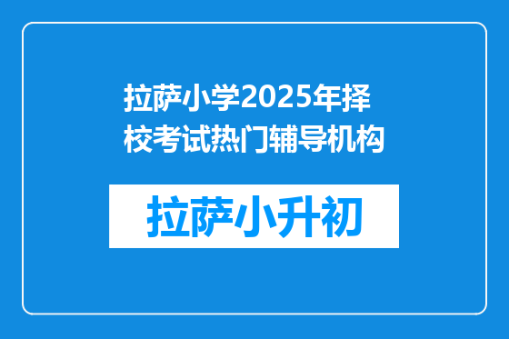 拉萨小学2025年择校考试热门辅导机构
