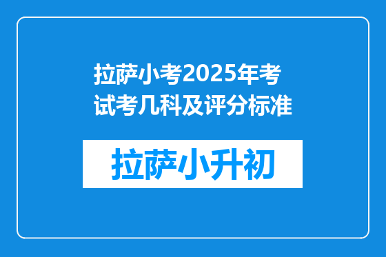 拉萨小考2025年考试考几科及评分标准