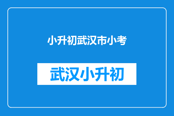小升初武汉市小考