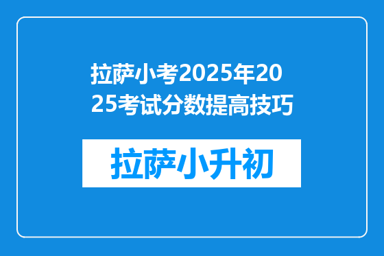 拉萨小考2025年2025考试分数提高技巧