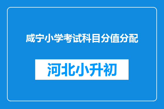 咸宁小学考试科目分值分配