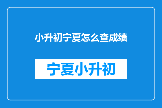 小升初宁夏怎么查成绩