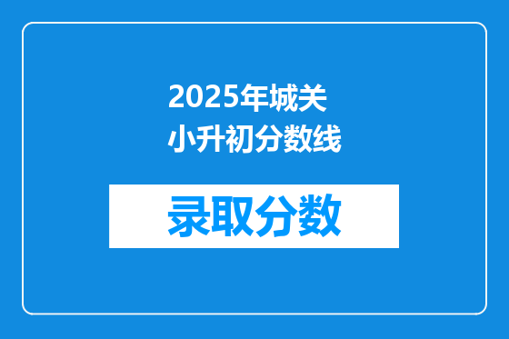 2025年城关小升初分数线