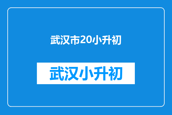 武汉市20小升初