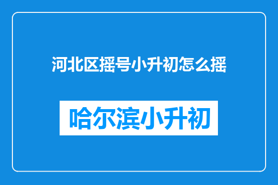 河北区摇号小升初怎么摇