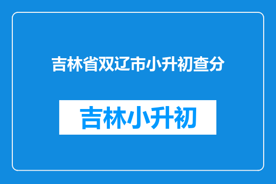 吉林省双辽市小升初查分
