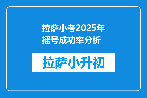 拉萨小考2025年摇号成功率分析