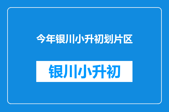 今年银川小升初划片区