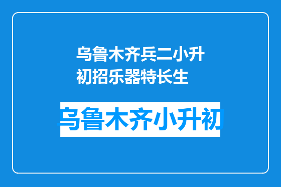 乌鲁木齐兵二小升初招乐器特长生