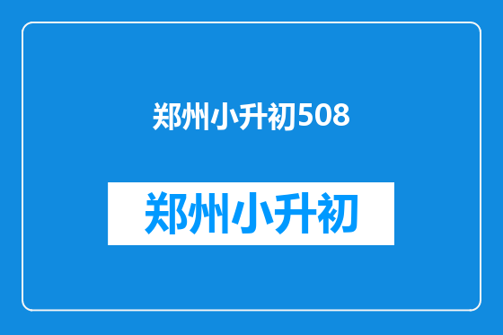 郑州小升初508