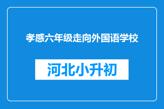 孝感六年级走向外国语学校
