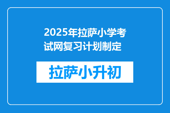 2025年拉萨小学考试网复习计划制定