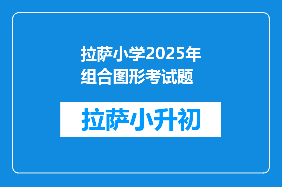 拉萨小学2025年组合图形考试题