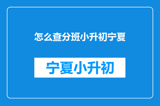 怎么查分班小升初宁夏