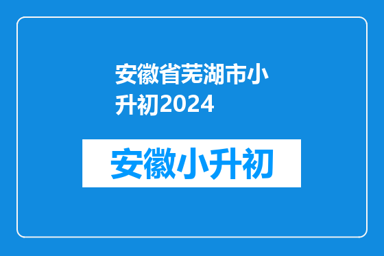 安徽省芜湖市小升初2024