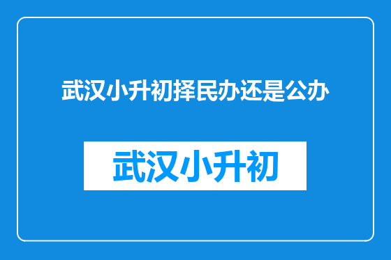武汉小升初择民办还是公办