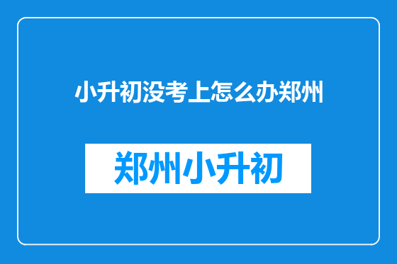 小升初没考上怎么办郑州