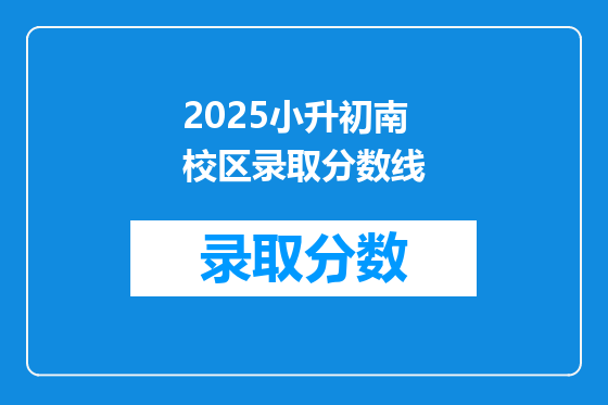 2025小升初南校区录取分数线