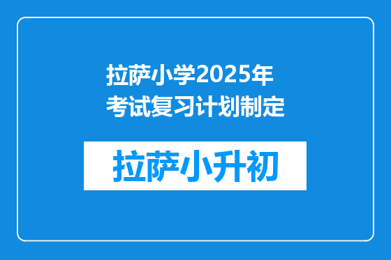 拉萨小学2025年考试复习计划制定