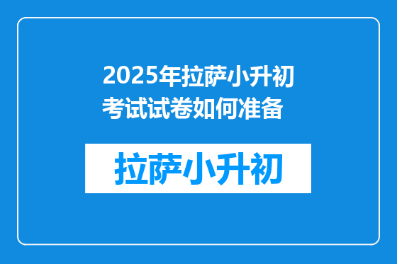 2025年拉萨小升初考试试卷如何准备