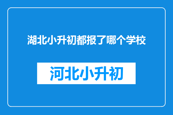 湖北小升初都报了哪个学校