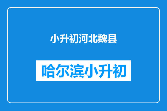 小升初河北魏县