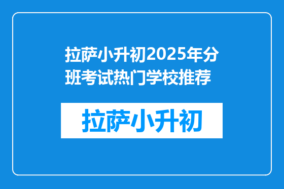 拉萨小升初2025年分班考试热门学校推荐
