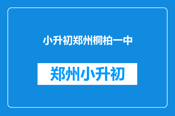 小升初郑州桐柏一中