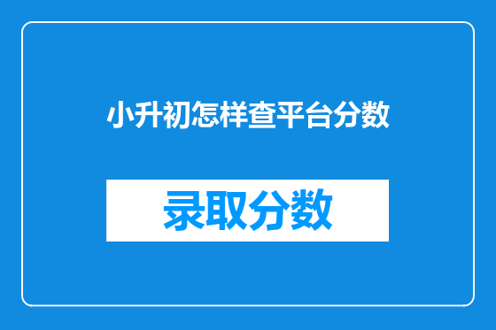 小升初怎样查平台分数