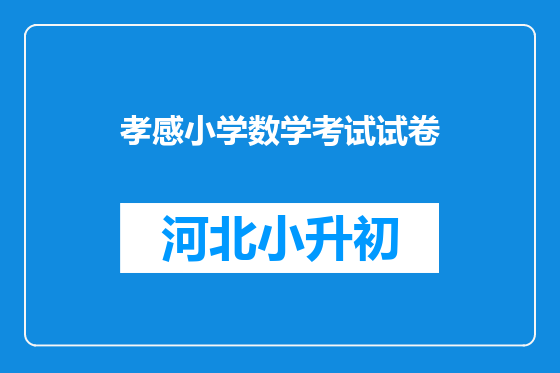 孝感小学数学考试试卷