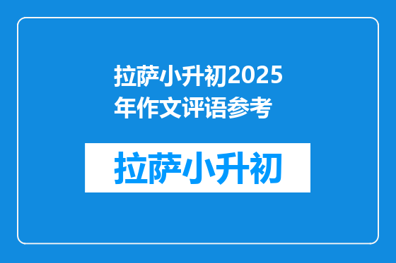 拉萨小升初2025年作文评语参考