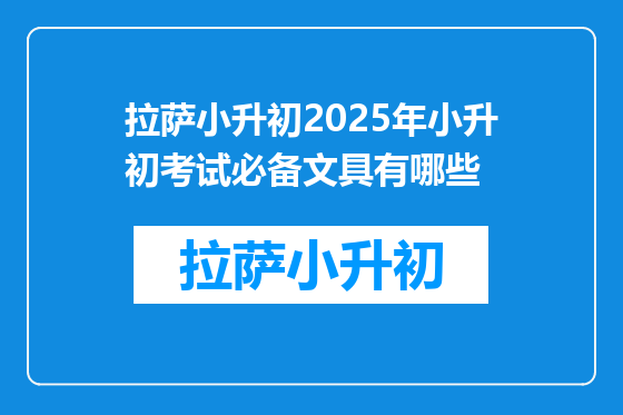 拉萨小升初2025年小升初考试必备文具有哪些