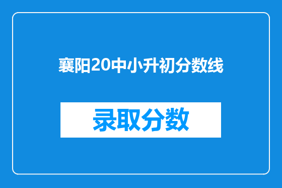 襄阳20中小升初分数线