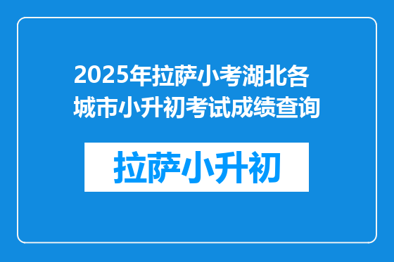 2025年拉萨小考湖北各城市小升初考试成绩查询