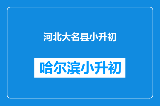 河北大名县小升初