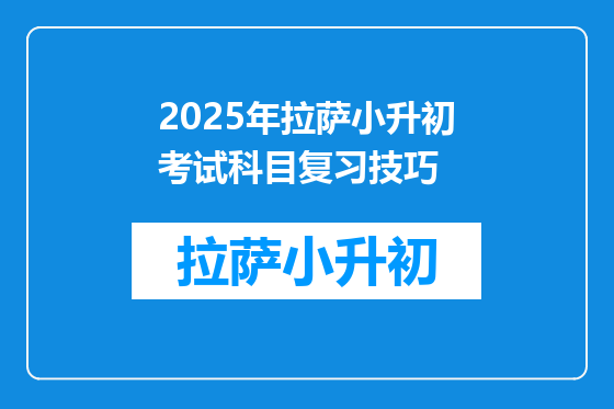 2025年拉萨小升初考试科目复习技巧